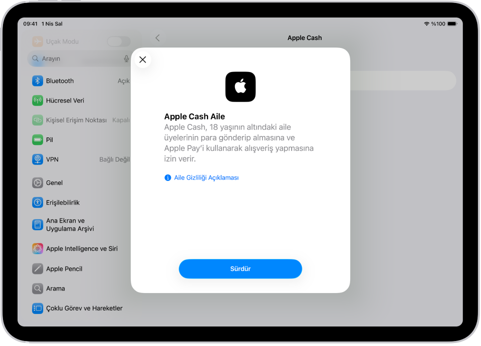 Ekranın ortasında Apple Cash Aile ayarlama sorgu kutusunun bulunduğu Ayarlar ekranı.