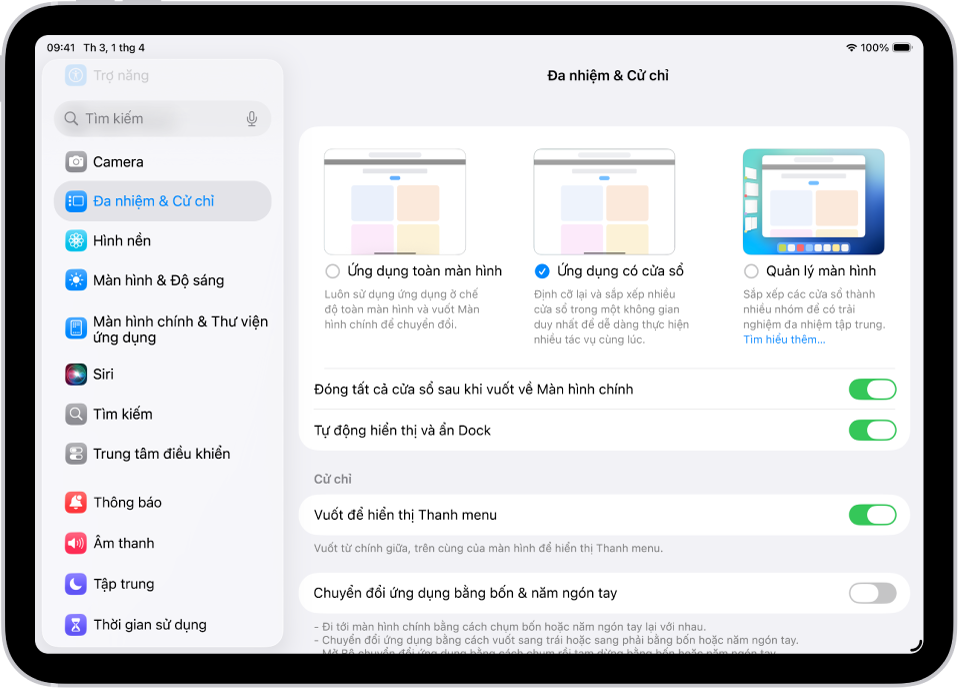 Một cửa sổ iPad đang hiển thị cài đặt Đa nhiệm & Cử chỉ.