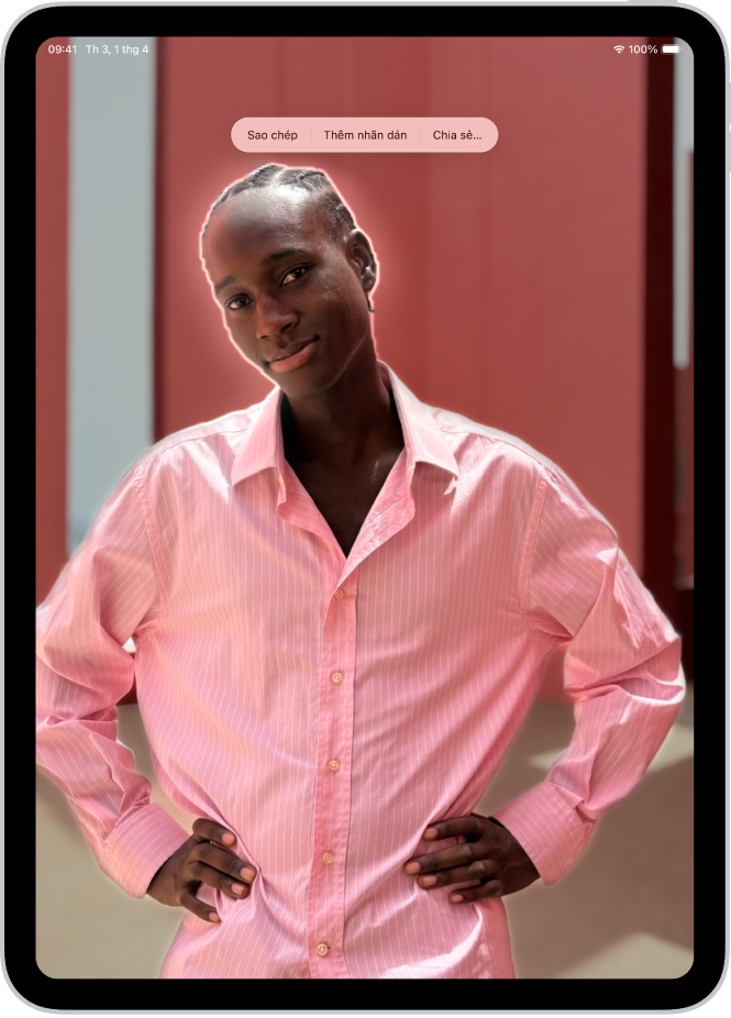 Một ảnh được mở trong thư viện của ứng dụng Ảnh. Chủ thể ở giữa ảnh được bao quanh và các nút Sao chép, Tra cứu, Thêm nhãn dán và Chia sẻ xuất hiện ở phía trên.