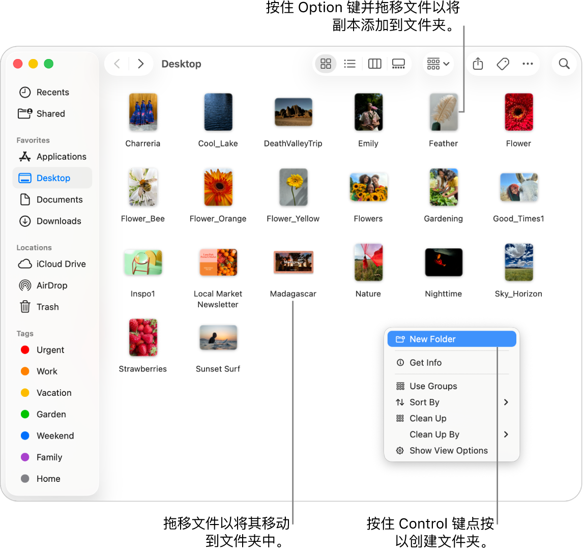包含文件和文件夹的“访达”窗口。在快捷键菜单中，“新建文件夹”已高亮标记。