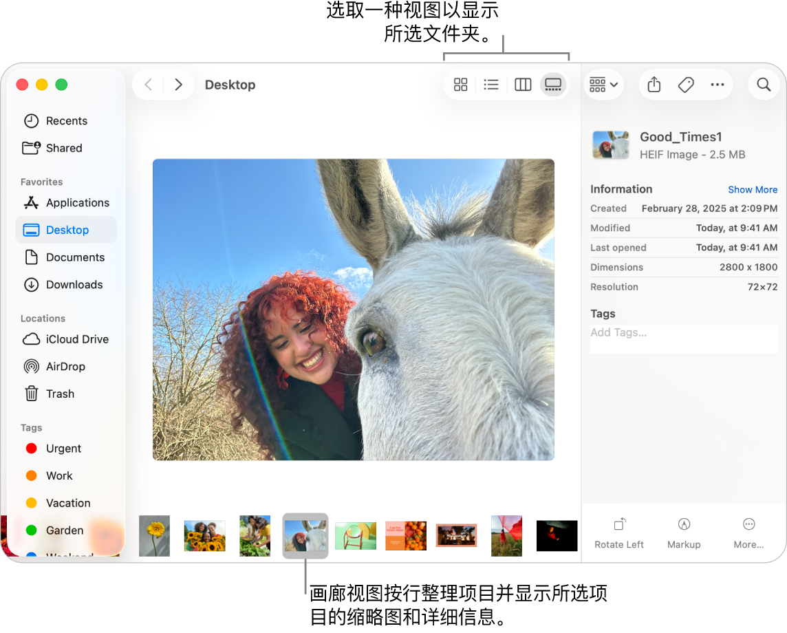 “访达”窗口显示位于左侧的“访达”边栏，以及窗口底部被选中的图像文件。在中间，“预览”面板显示图像看起来如何，右侧是图像的详细信息和快速操作按钮。