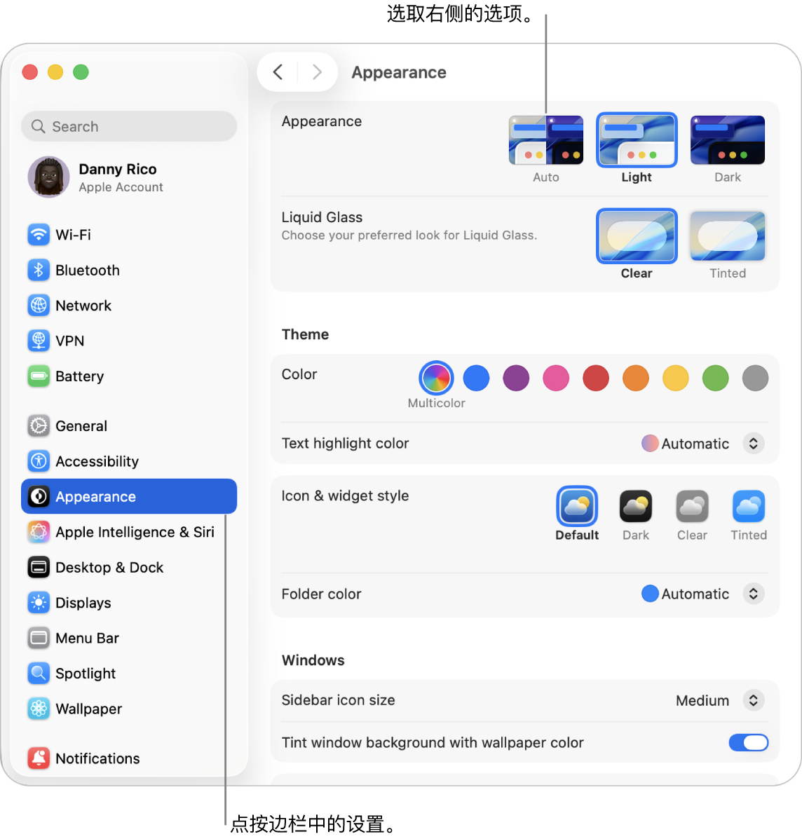 “系统设置”窗口，边栏中的“外观”设置已选中，右侧是“外观”的各选项。
