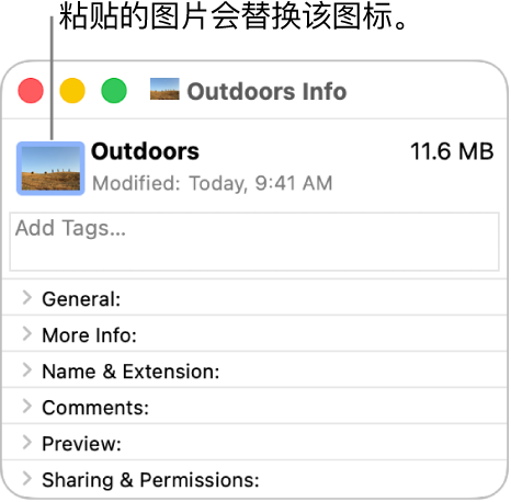 文件夹的“简介”窗口，显示通用图标替换为图片。