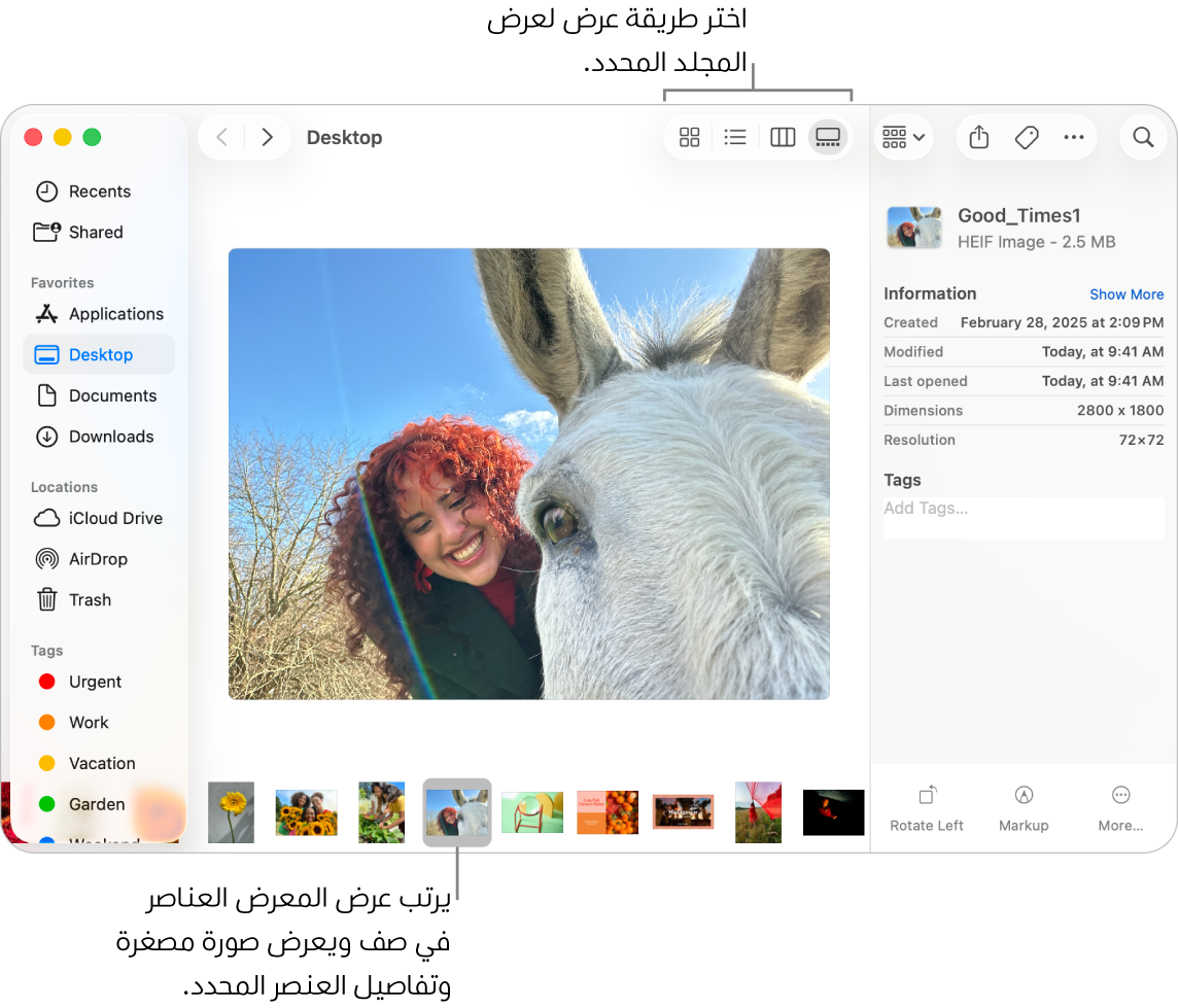 نافذة فايندر تعرض شريط فايندر الجانبي على اليمين وملف صورة محدد في أسفل النافذة. في المنتصف، يعرض جزء المعاينة كيف تبدو الصورة، مع تفاصيل الصورة أدناه، وأزرار الإجراءات السريعة على اليسار.