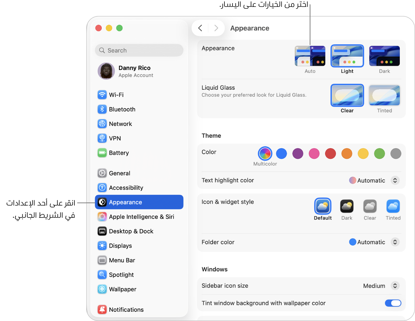 نافذة إعدادات النظام، مع تحديد إعدادات المظهر في الشريط الجانبي، وخيارات المظهر على اليسار.