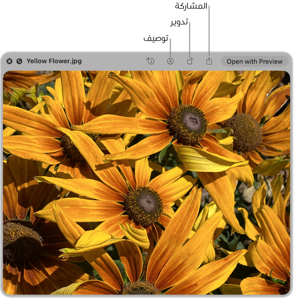صورة في نافذة معاينة سريعة مع أزرار لتوصيف الصورة أو تدويرها أو مشاركتها أو فتحها في تطبيق المعاينة.