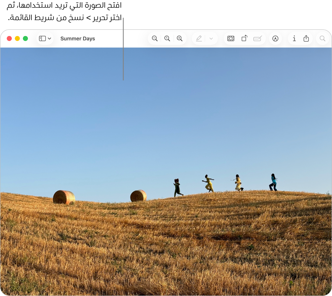 تطبيق المعاينة يعرض صورة سيتم نسخها.