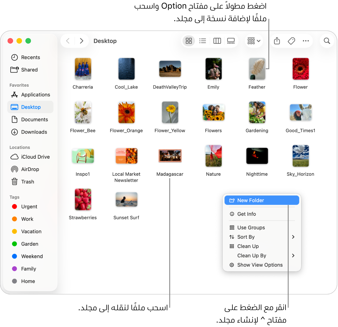 نافذة فايندر تحتوي على ملفات ومجلدات. في قائمة الاختصارات، تم تمييز خيار مجلد جديد.