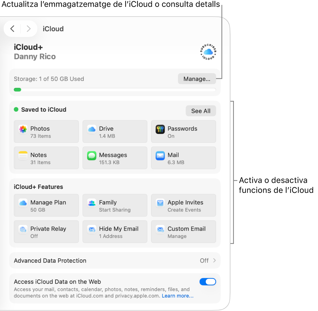 Configuració de l’iCloud de les funcions utilitzades més sovint.