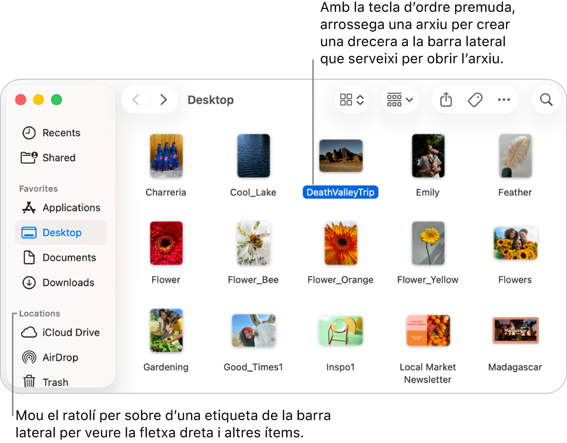 A la barra lateral del Finder, a la dreta d’Ubicacions, hi ha una fletxa on pots fer clic perquè es mostrin ítems addicionals. A la finestra del Finder, a la dreta, hi ha un arxiu seleccionat, i a la barra lateral, a sota de Favorits, hi ha una drecera a l’arxiu.