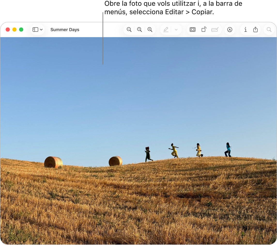 L’app Previsualització mostrant una imatge que s’ha de copiar.