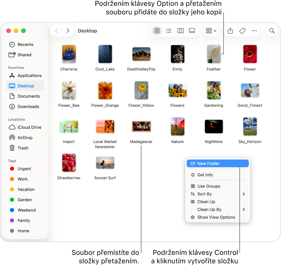 Okno Finderu, v němž jsou vidět soubory a složky. V nabídce zkratek je zvýrazněna položka Nová složka