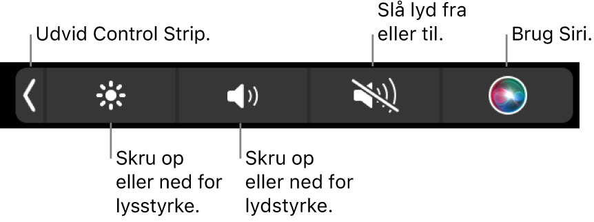 Den formindskede Control Strip har knapper, der fra venstre mod højre udvider Control Strip, skruer op eller ned for skærmens lysstyrke og lydstyrken, slår lyden til eller fra og aktiverer Siri.