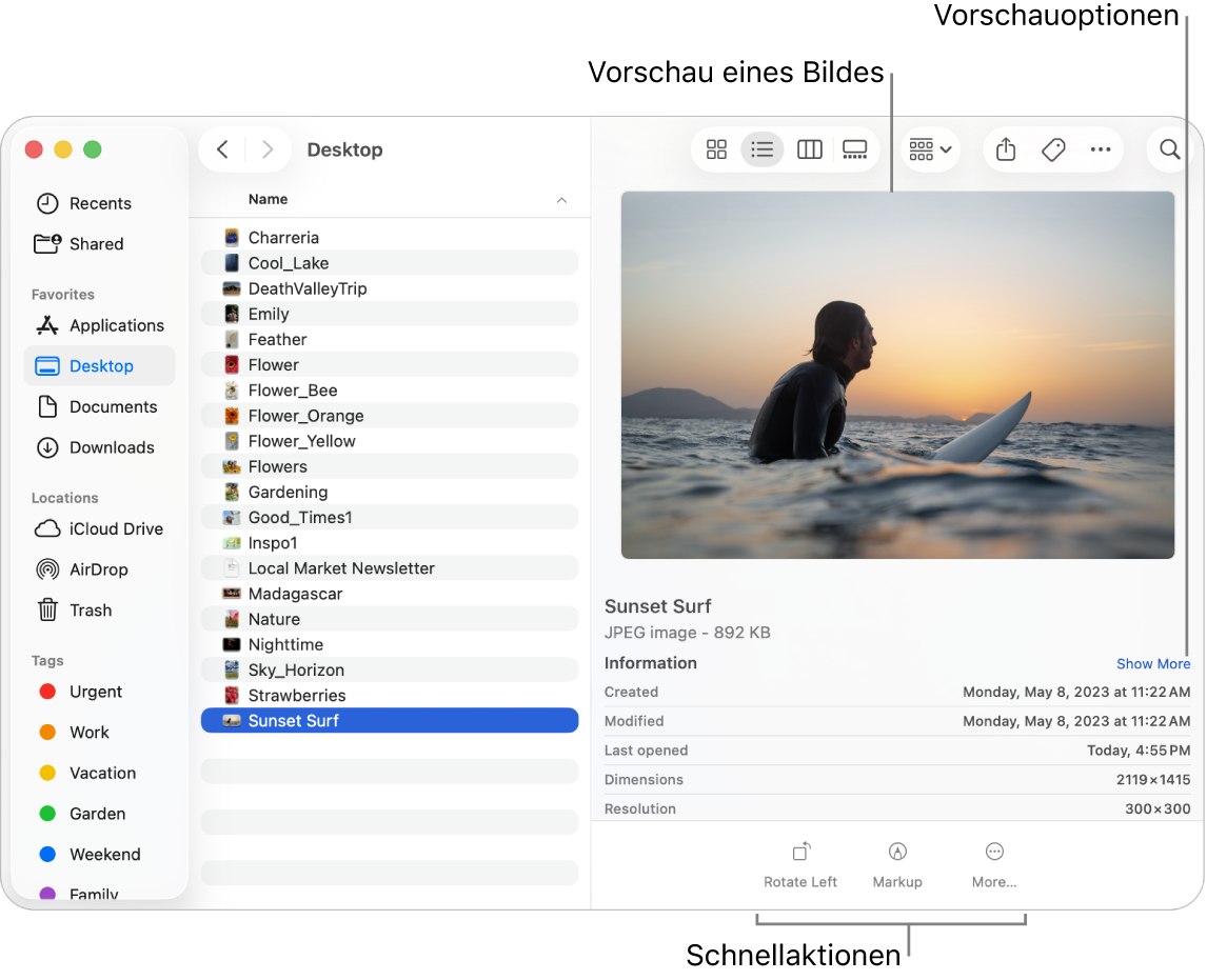 Ein Finder-Fenster mit der Finder-Seitenleiste links und einem ausgewählten Bild im Mittelteil des Fensters. Rechts ist der Vorschaubereich, in dem oben das Bild und darunter Details zum Bild zu sehen sind. Die Tasten für Schnellaktionen befinden sich unten.