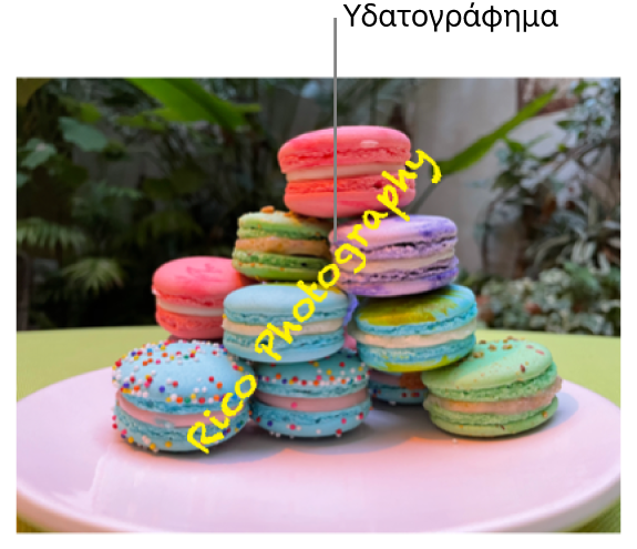 Μια φωτογραφία εμφανίζει ένα υδατογράφημα που λέει «Rico Photography» και εμφανίζεται διαγωνίως στη φωτογραφία.