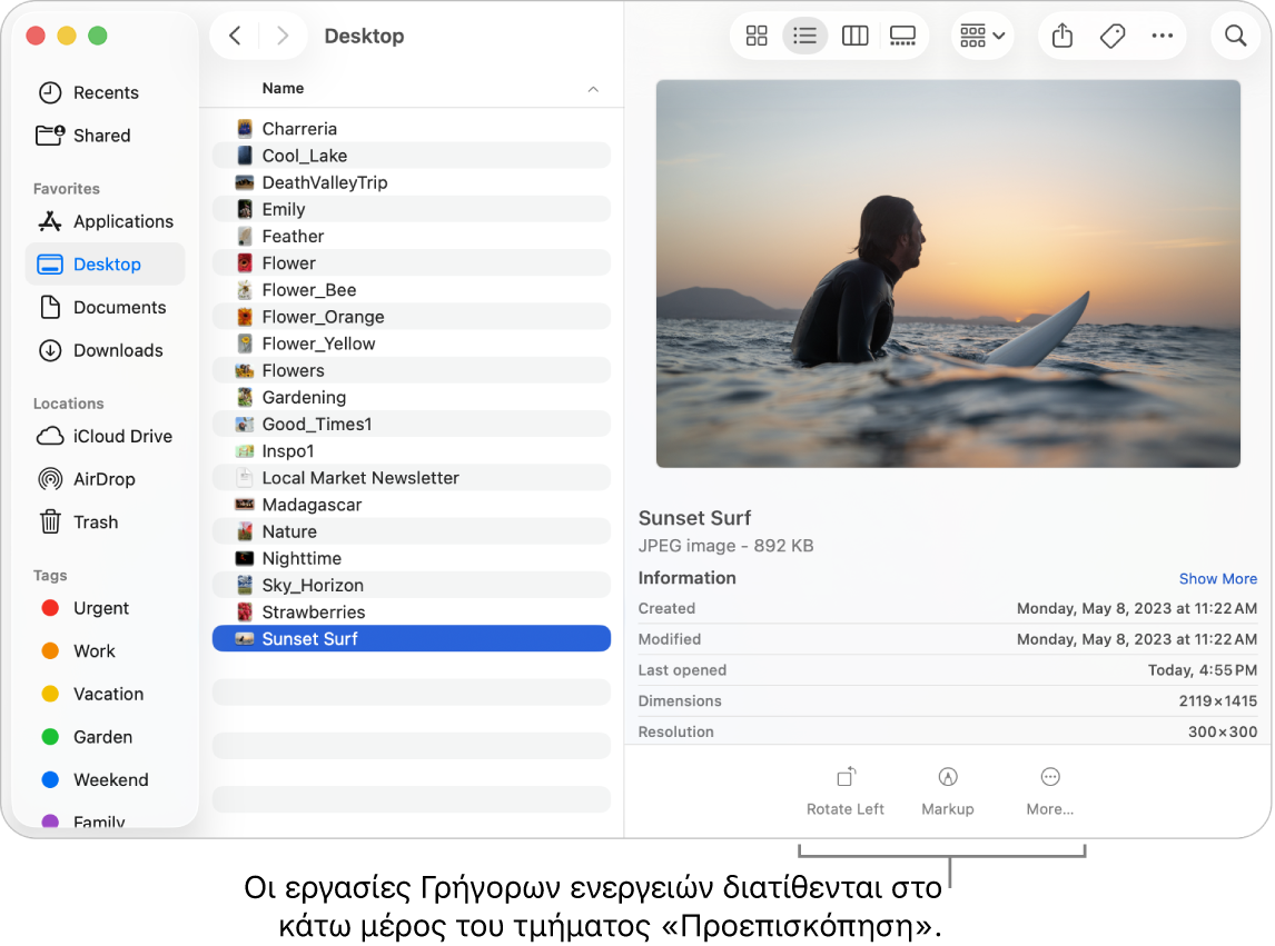 Το κάτω μέρος του παραθύρου Προεπισκόπησης, όπου φαίνονται τα κουμπιά Γρήγορων ενεργειών.