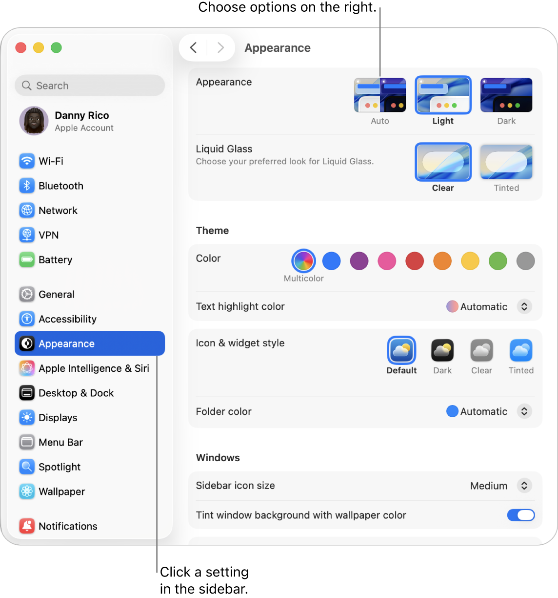 The System Settings window, with Appearance settings selected in the sidebar and Appearance options on the right.