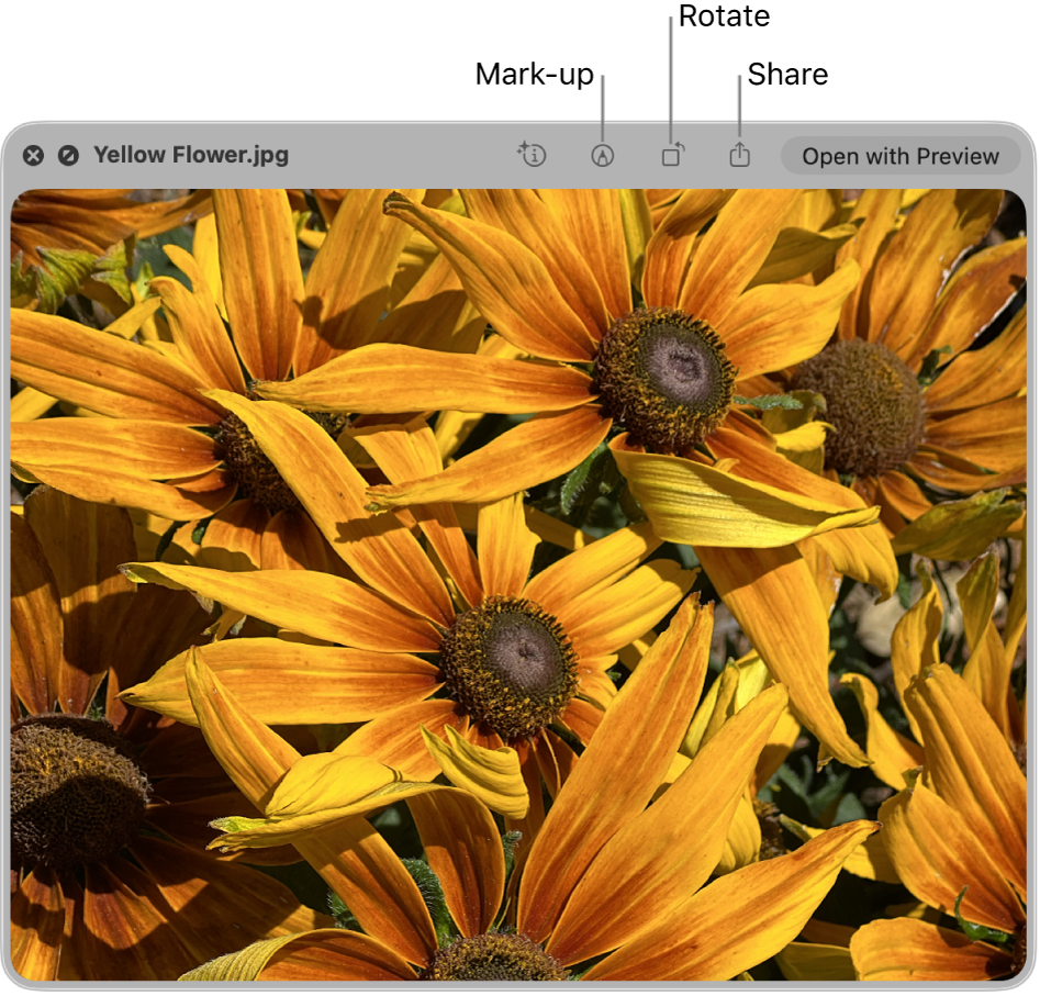 An image in the Quick Look window with buttons to mark up, rotate or share the image or open it in the Preview app.
