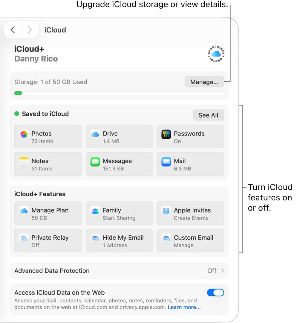 iCloud settings for the most commonly used features.