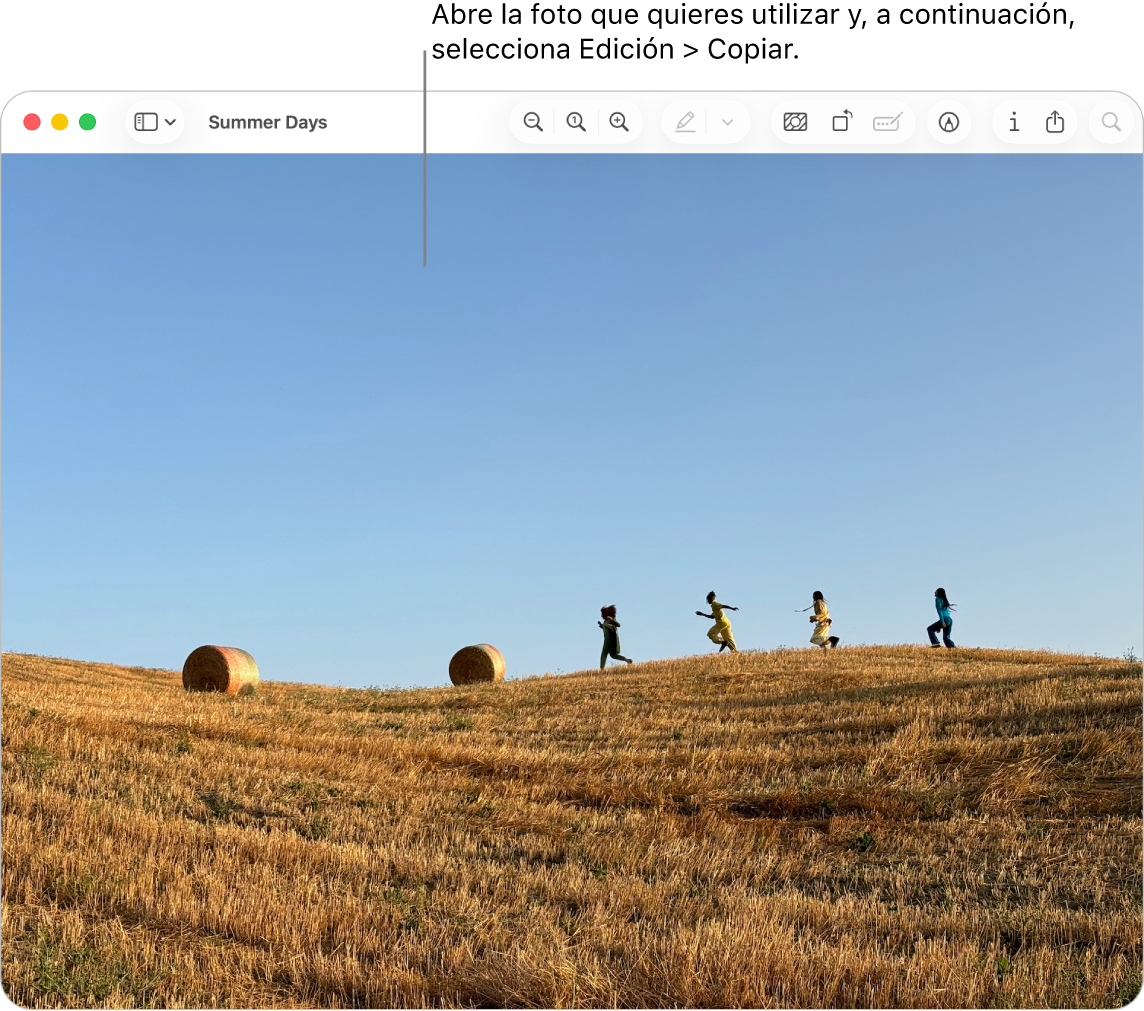La app Vista Previa con una imagen que se debe copiar.