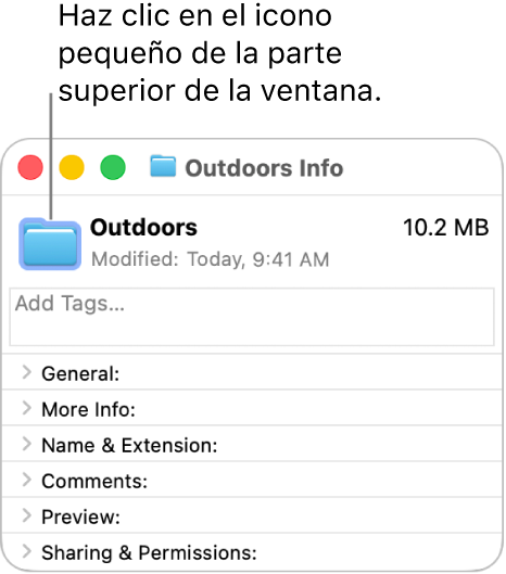 La ventana de información de una carpeta, con el icono genérico de la carpeta seleccionada.