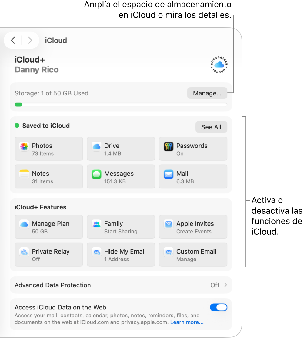 Ajustes de iCloud para las funciones más usadas.