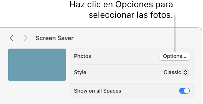 La parte superior de la ventana de Ajustes del Sistema con las opciones para Fotos.