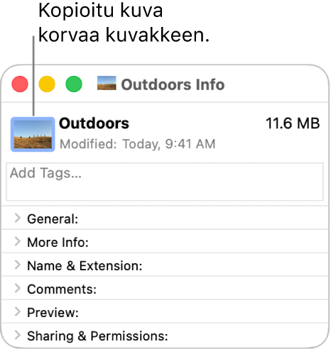 Kansion Tiedot-ikkuna, jossa näkyy yleinen kuvake korvattuna kuvalla.