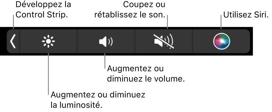La Control Strip condensée comprend des boutons de gauche à droite, pour développer la Control Strip, augmenter ou baisser la luminosité de l’écran ou le volume, couper ou rétablir le son et utiliser Siri.