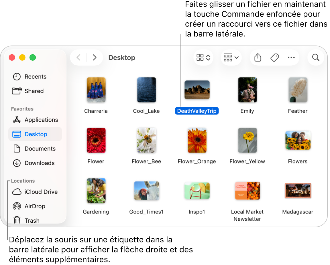 Une flèche sur laquelle vous pouvez cliquer pour afficher d’autres éléments se trouve à droite d’Emplacements dans la barre latérale du Finder. Dans la fenêtre du Finder à droite, un fichier est sélectionné et un raccourci vers ce fichier se trouve dans la barre latérale, sous les Favoris.
