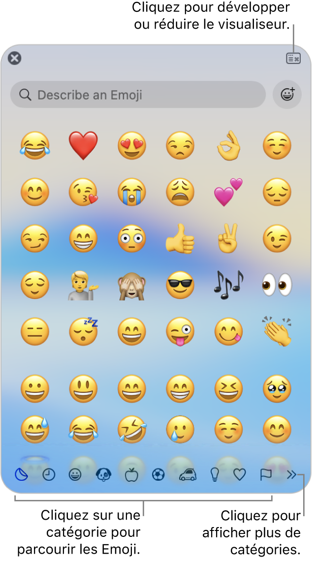 La fenêtre Visualiseur de caractères. Cliquez sur une catégorie en bas pour parcourir les caractères ou les symboles. Dans le champ de recherche, saisissez un nom ou un code de symbole pour trouver un caractère spécifique. Cliquez dans le coin supérieur droit pour développer ou condenser le visualiseur.