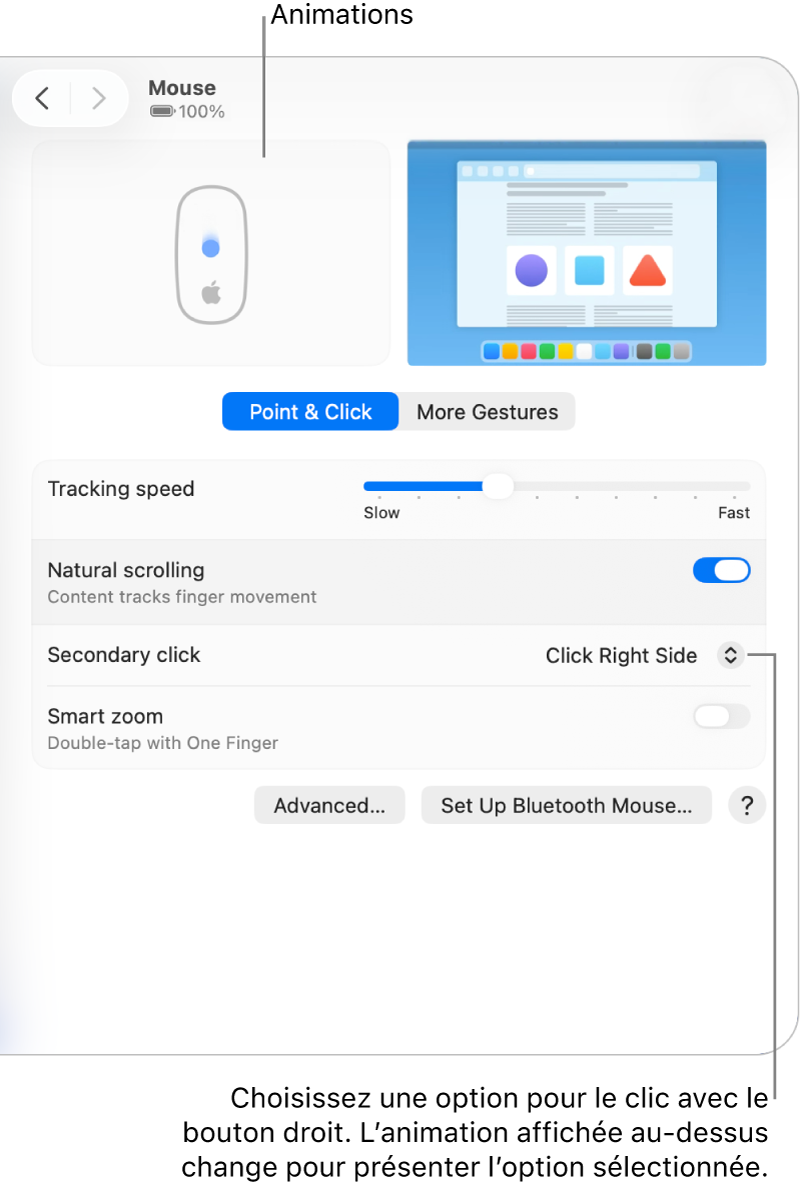 Les options relatives à la souris dans Réglages Système affichant l’option du clic secondaire définie sur « Cliquer du côté droit » et l’animation correspondante.