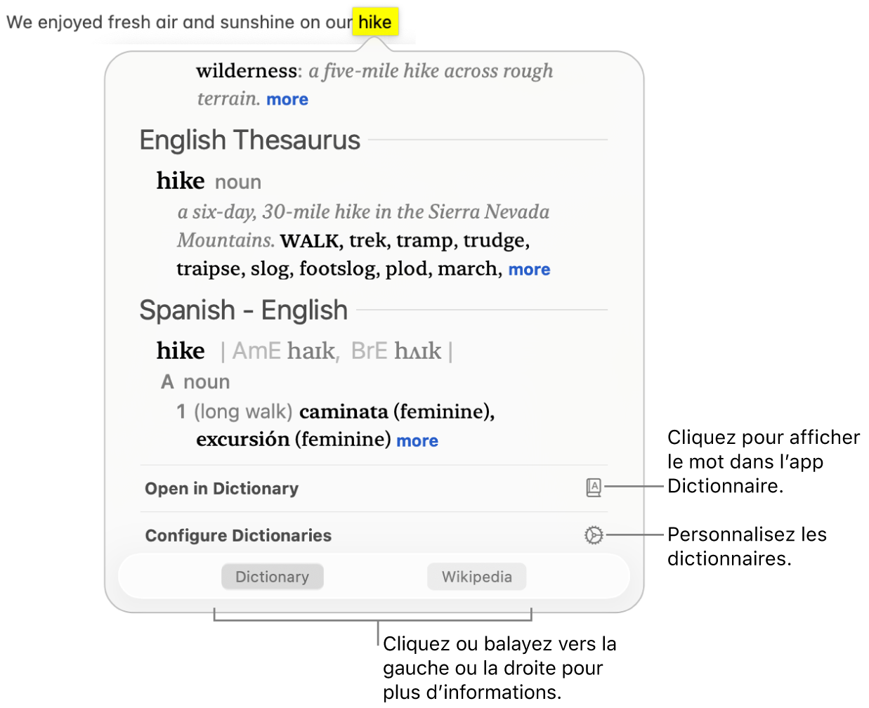 La fenêtre Rechercher affiche le dictionnaire et les définitions du thésaurus pour un mot.