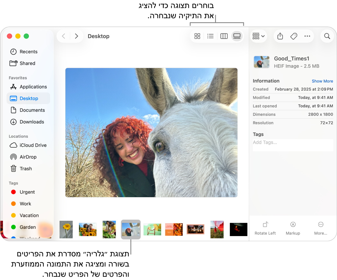 חלון של ה‑Finder המציג את סרגל הצד של ה‑Finder מימין, וקובץ תמונה נבחר בתחתית החלון. במרכז, החלונית ״תצוגה מקדימה״ מציגה איך התמונה נראית, כאשר פרטי התמונה וכפתורי ״פעולות מהירות״ מוצגים בצד.