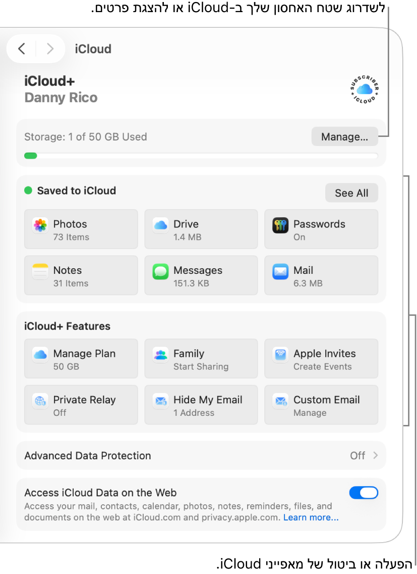הגדרות iCloud עבור המאפיינים הנפוצים ביותר.