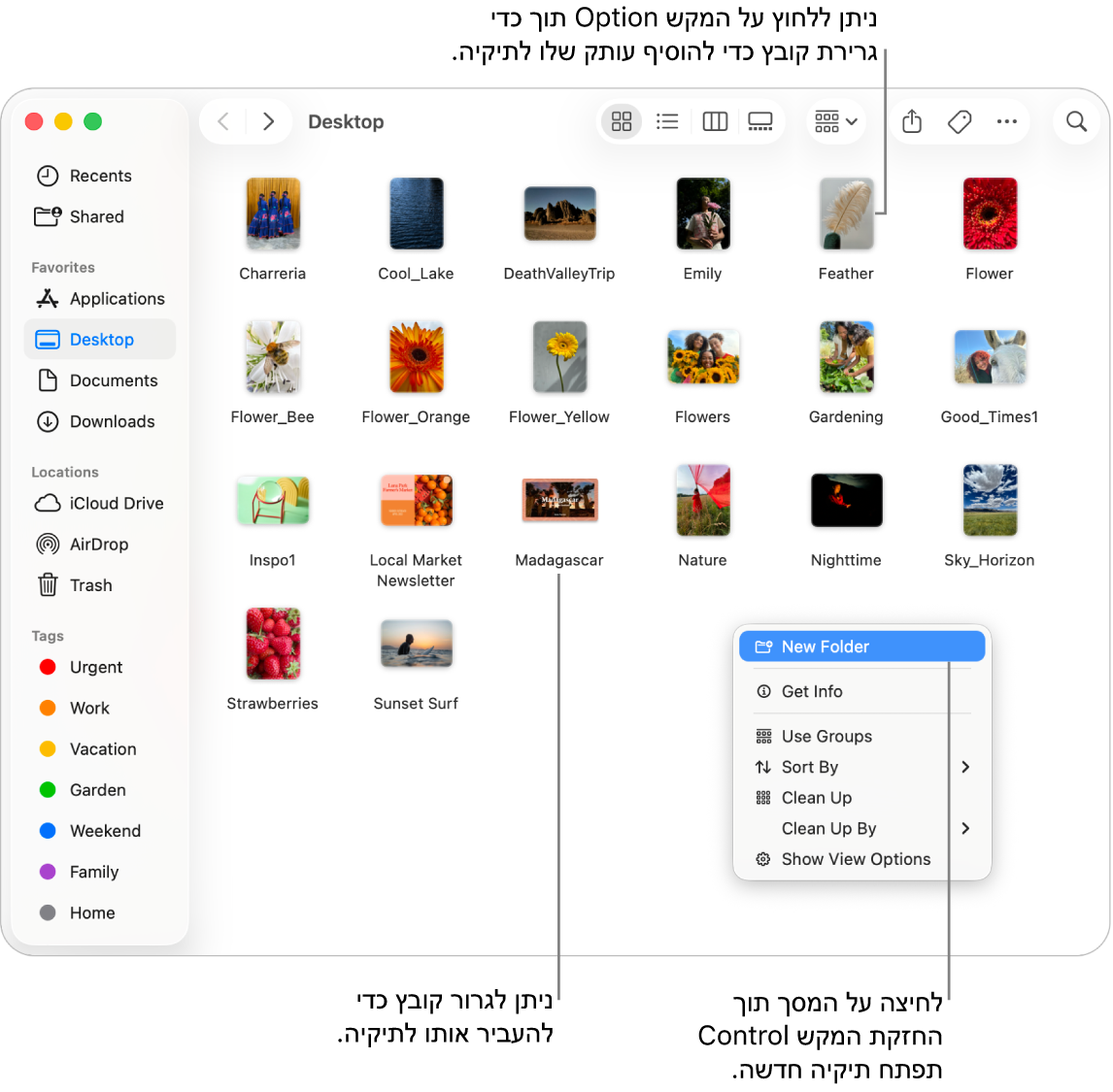 חלון Finder המכיל קבצים ותיקיות. בתפריט הקיצורים, האפשרות ״תיקיה חדשה״ מסומנת.
