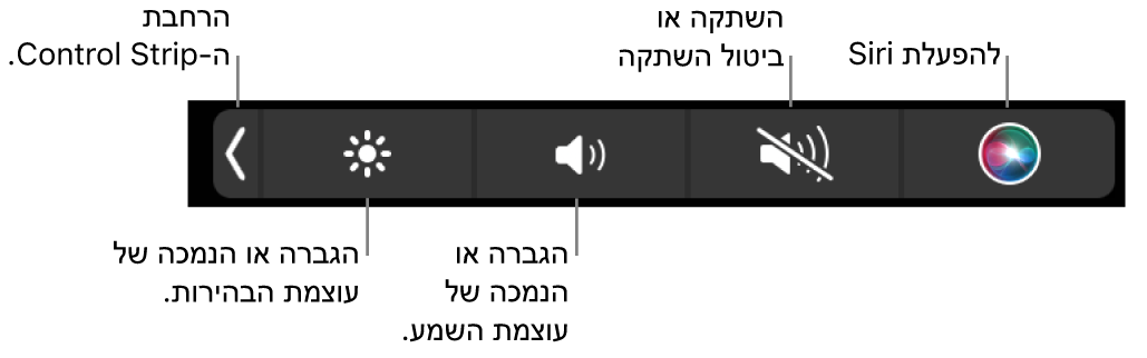 ‏Control Strip בפריסה מכווצת כולל כפתורים – משמאל לימין – להרחבת Control Strip, להגברה או הפחתה של הבהירות ועוצמת הקול, להשתקה וביטול השתקה ולשימוש ב‑Siri.