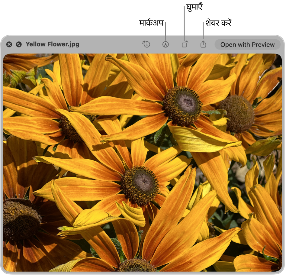 “झलक देखें” विंडो में मौजूद इमेज जिसे मार्कअप करने, घुमाने या शेयर करने या उसे प्रीव्यू ऐप में खोलने के लिए बटन हैं।