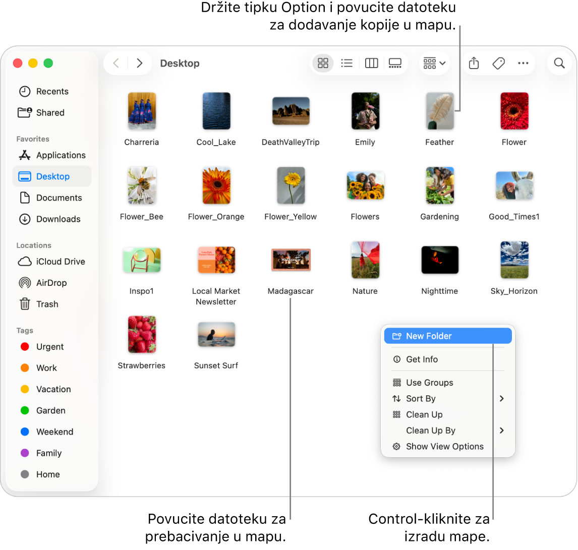 Prozor Finder koji sadrži datoteke i mape. U nazivu prečaca istaknuta je Nova mapa.