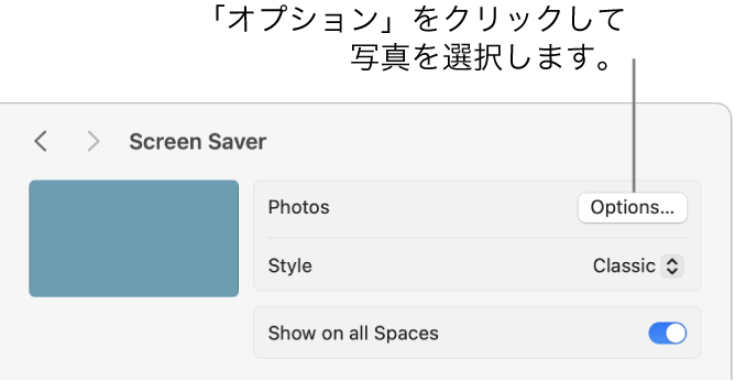 システム設定ウインドウの上部に「写真」のオプションが表示されています。