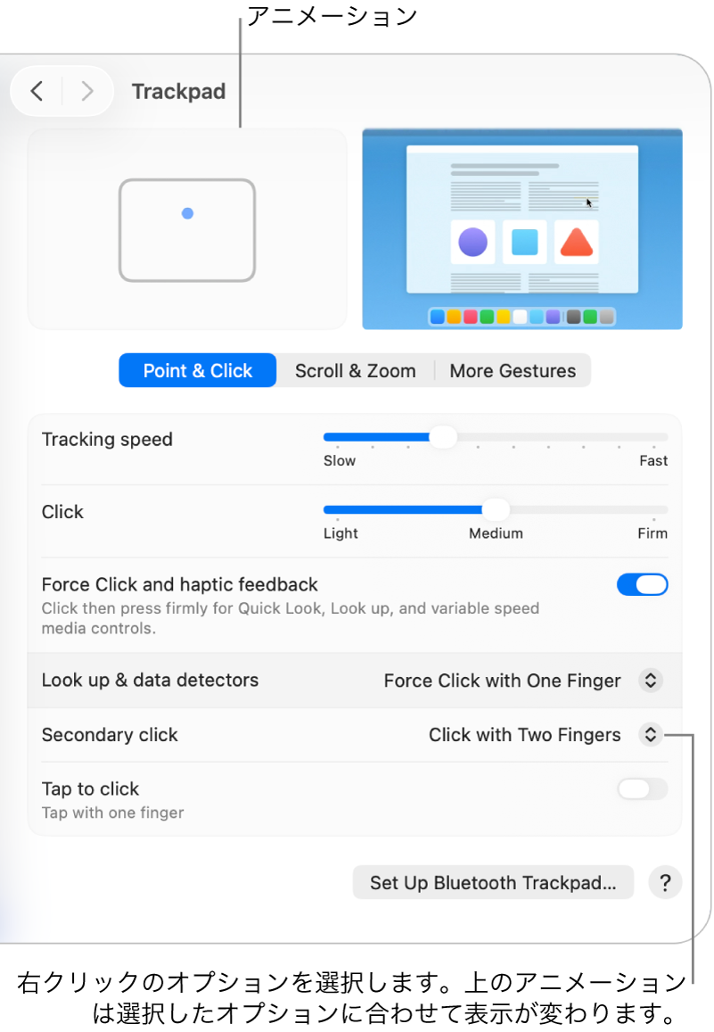 「システム設定」の「トラックパッド」オプション。副ボタンのクリックオプションが「2本指でクリック」に設定され、対応するアニメーションが表示されています。