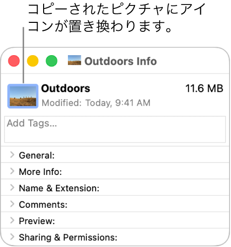 フォルダの「情報」ウインドウ。ピクチャに置き換えれた一般的なアイコンが表示されています。