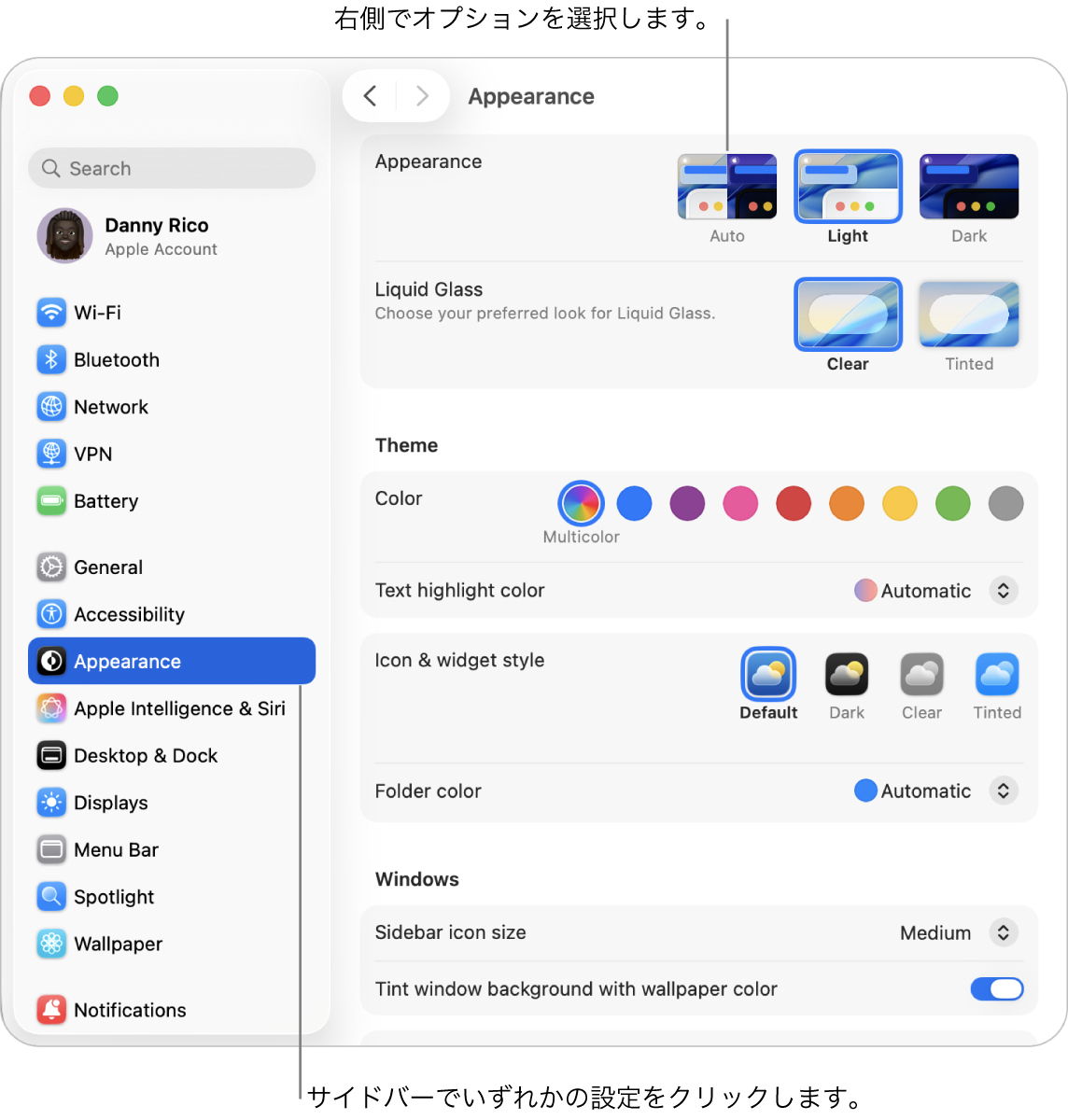 「システム設定」ウインドウ。サイドバーで「外観」設定が選択され、右側に「外観」オプションが表示されています。