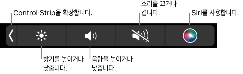 왼쪽에서 오른쪽으로 Control Strip을 확장하거나, 디스플레이 밝기 및 음량을 늘리고 줄이거나, 소리를 켜고 끄거나, Siri를 사용할 수 있는 버튼이 있는 축소된 Control Strip.