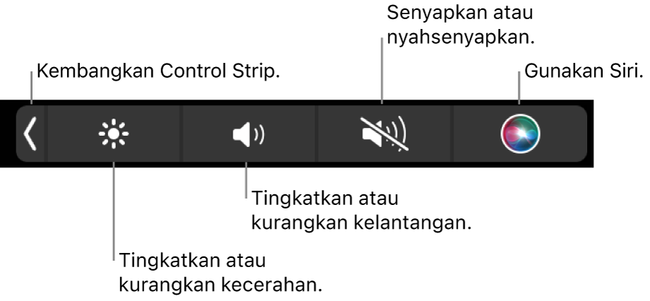 Control Strip yang diruntuhkan termasuk butang—dari kiri ke kanan—untuk mengembangkan Control Strip, meningkatkan atau mengurangkan kecerahan dan kelantangan, senyapkan atau nyahsenyapkan serta menggunakan Siri.