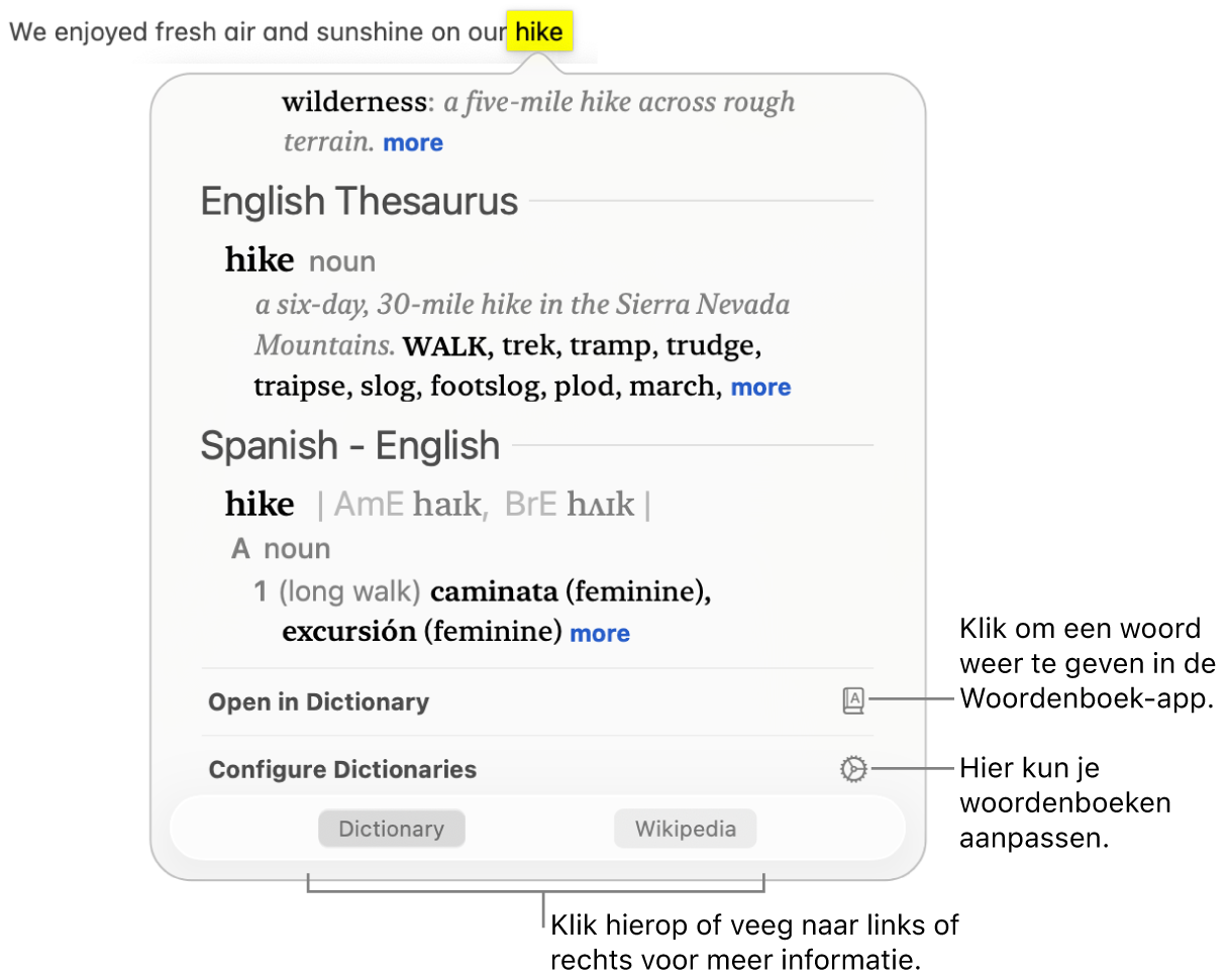 Het opzoekvenster met Woordenboek- en Thesaurus-definities voor een woord.