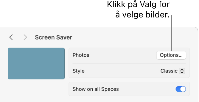 Toppen av Systeminnstillinger-vinduet, som viser valg for Bilder.
