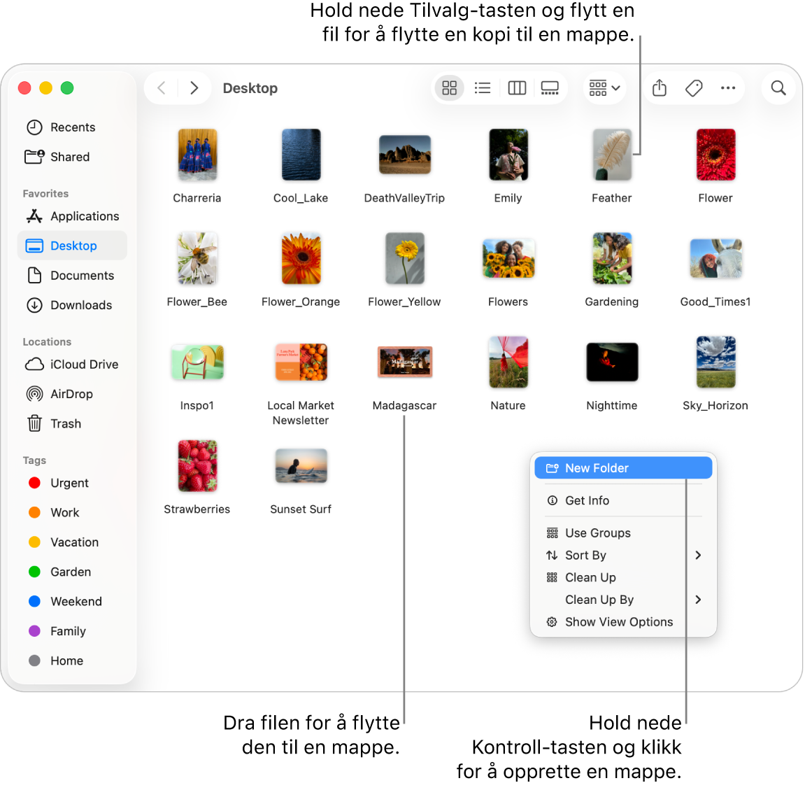 Et Finder-vindu med filer og mapper. Ny mappe er uthevet i snarveismenyen.