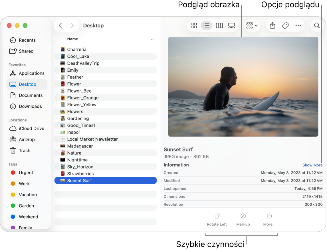 Okno Findera zawierające pasek boczny po lewej oraz plik obrazka zaznaczony na środku. Po prawej stronie widoczny jest panel podglądu, w którym widoczny jest podgląd obrazka, niżej znajdują się szczegółowe informacje, a na dole panelu widoczne są przyciski szybkich czynności.