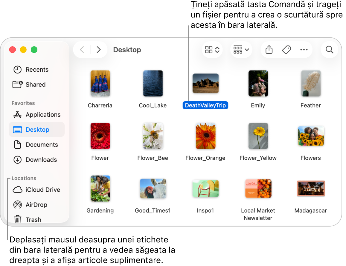 La dreapta opțiunii Amplasamente în bara laterală Finder se află o săgeată pe care puteți face clic pentru a afișa articole suplimentare. În partea dreaptă a ferestrei Finder este selectat un fișier și o scurtătură spre fișier se află în bara laterală, sub Favorite.